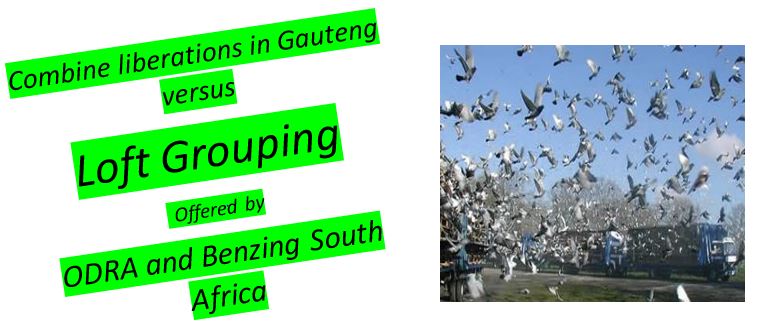 ODRA and Benzing South Africa