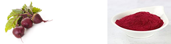 the use of sweat performance enhancers in racing pigeons